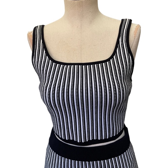 Aritzia Babaton Striped Set- Sculpt Knit Tank & Bodycon Tube Midi Skirt - Picture 6 of 11